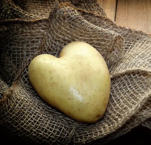 A heart shaped potato